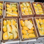Auspak Finest Quality Chunsa Mangoes - 3KG Gross Box