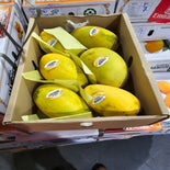 Auspak Finest Quality Chunsa Mangoes - 3KG Gross Box