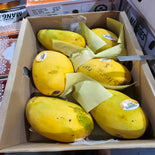 Auspak Finest Quality Chunsa Mangoes - 3KG Gross Box