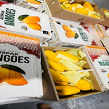 Auspak Finest Quality Sindhri Mangoes - 3KG Gross Box