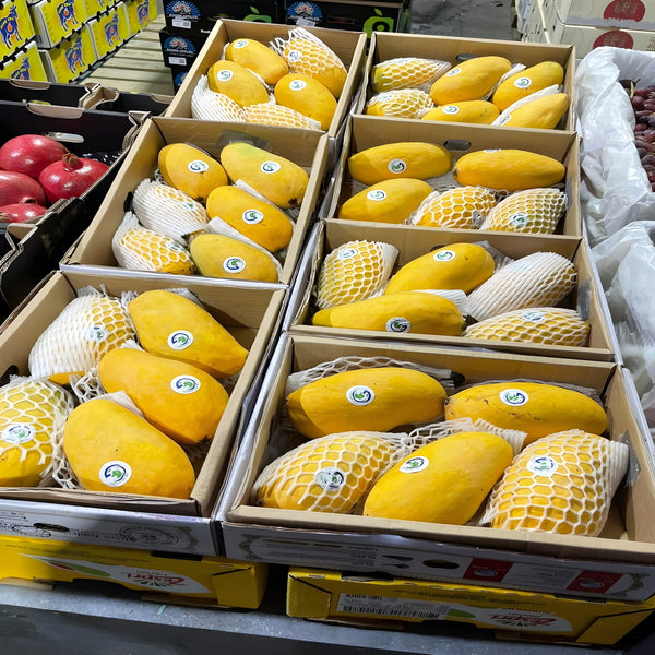 Auspak Finest Quality Sindhri Mangoes - 3KG Gross Box