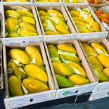Auspak Finest Quality Sindhri Mangoes - 3KG Gross Box