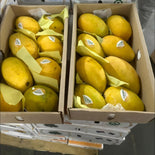 Auspak Finest Quality Chunsa Mangoes - 3KG Gross Box